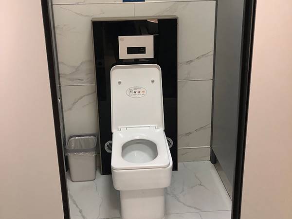 Туалет для взрослых